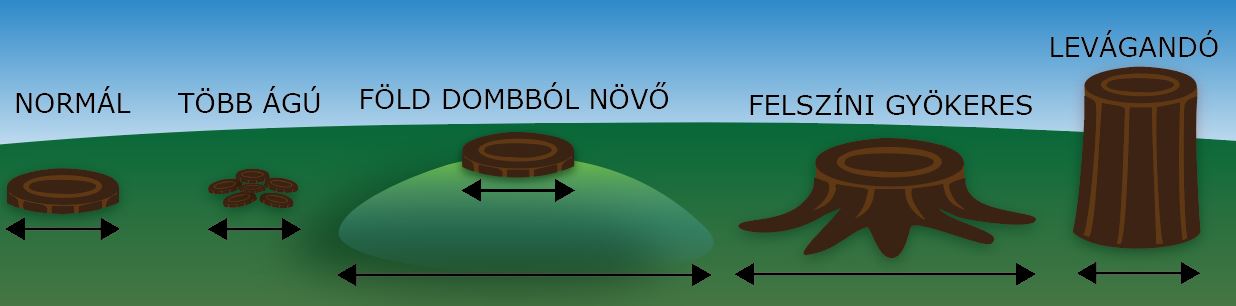 A tuskó talajszinti átmérőjének mérése